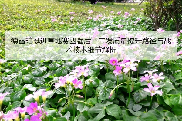 de-lei-po-ting-jin-cao-di-sai-si-qiang-hou-er-fa-zhi-liang-ti-sheng-lu-jing-yu-zhan-shu-ji-shu-xi-jie-jie-xi-2-410.jpg